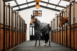 Horseware Easy-Layer Liner & Stalddækken Plus - 200 G. 